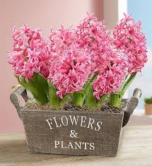 We offer fresh flowers for any occasion. Spring Flowers Arlington Va