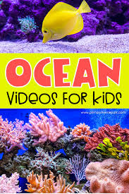 More about the coral reefs and their importance. Coral Reef Art Project Primary Theme Park