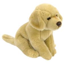Cat Dog Stuffed Animals Dog Stuffed Animal Animal Plush Toys Animals