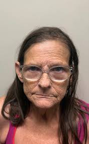 Fighting Crime News...