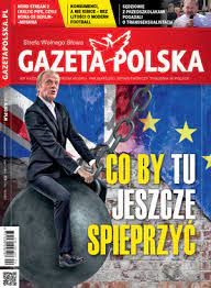 Jak nazwać to, co zrobili byli sędziowie, zarzucając mi oszczerstwa, bez czytania tekstu? Archiwum Tygodnika Gazeta Polska