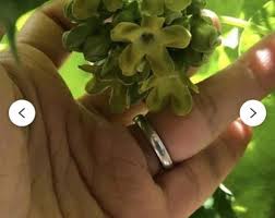 Image result for Telosma africana