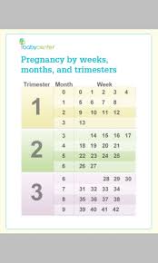 Month Weeks Pregnancy Charts Which One Is More Accurate