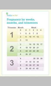 month weeks pregnancy charts which one is more accurate