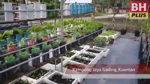 Diharap perkongsian ini dapat memberi ilham mengindahkan lagi landskap. Kebun Sayur Kitar Semula Pejabat Pertanian Daerah Muar
