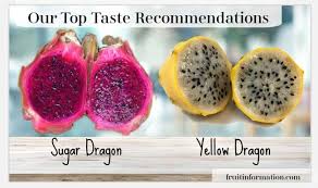 What Does Dragon Fruit Taste Like Fruitinformation Com In 2020 Dragon Fruit Fruit Dragon Fruit Varieties