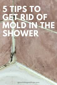 After the mold and mildew has been killed and rinsed away, clean the shower as normal. 5 Simple Tips To Get Rid Of Mold In The Shower Glue Sticks And Gumdrops