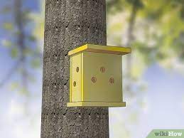Adding a ladybug house not only offers ladybugs another place to shelter safely at night, but also allows them to hibernate for winter in your garden. How To Build A Ladybug House 14 Steps With Pictures Wikihow