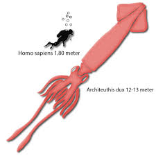 If you like giant squids, you might like our kickstarter: A Sea Monster S Genome Full Genetic Sequence Of The Elusive Giant Squid