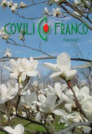 covili vivai piante pistoia by franco covili issuu