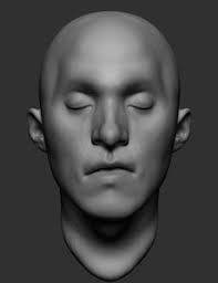 Free 3d Head Models Turbosquid