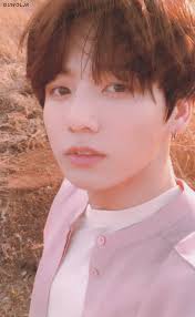 Jungkook Love Yourself 轉 Tear Photocard ジョングク 画像 Bts 画像 マンネライン