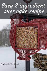 Make into 4 x 4 x 2 inch blocks and freeze. Simple Bird Suet Recipe Feathers In The Woods
