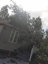 Bonnie small bug off tree service secretary. Bugoff Pest Control And Tree Service Home Facebook