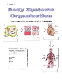 Levels Of Organization Cells Tissues Organs And Systems Science Cells Teacher Moments Teaching Style
