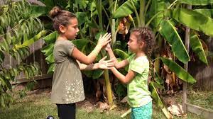 Hand Clapping Games Big Mac Filet Of Fish Youtube