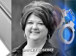 Fannin County Tax Commissioner Arrested Wdef