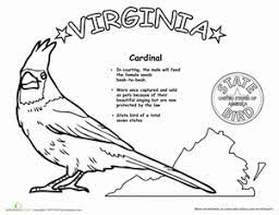 Showcase your love of lexington with this fun, fabulous representation of the commonwealth: Virginia State Bird Worksheet Education Com
