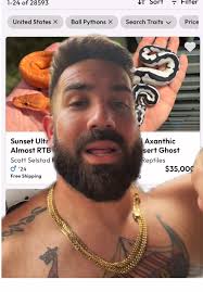 #ballpython #snake #breeding