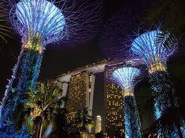 Book singapore hotels book singapore holiday packages. Amazing Gardens By The Bay In Front Of The Marina Bay Hotel At Singapore Pics