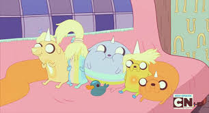Your resource to discover and connect with designers worldwide. Rainicorn Puppies Heroes Wiki Fandom