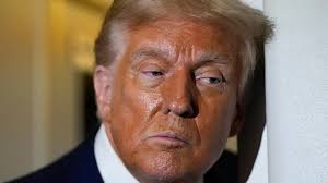 Dawson City-area placer mine, owner guilty