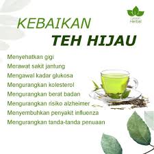 Yuk cari tahu daftar merk nikmati kehangatan teh hijau merk tong tji di saat santai bersama keluarga. Teh Hijau Gold Tea Eksklusif Mtr Shopee Indonesia
