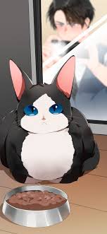 Love Unholyc Sol Cat Sol In The Mirror ㅋㅋㅋㅋ In 2020 Cute Anime Wallpaper Anime Anime Wallpaper