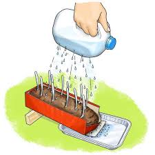 By holding the dirt together in this position, it helps keep the dirt from washing away. Can Plants Help Slow Soil Erosion Scientific American