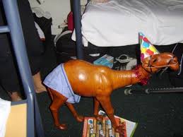 Wir haben für unsere kunden eine auf unserem. The Tallest Door In The World Fat Camel Hostel Auckland Picture Of Fat Camel Hostel