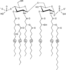 Phosphoryl Lipid A An Overview Sciencedirect Topics