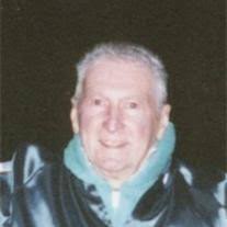 Theodore Mech Obituary 2012