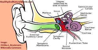 Maybe you would like to learn more about one of these? Popping Clicking Or Crackling Sound In Ear What Does It Mean