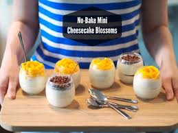 Nepeceny Mini Cheesecake Mini Cheesecake Baking Cheesecake