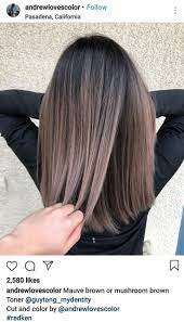 Excellent No Cost Balayage Hair Blonde Diy Popular Summer S On How And Also Each Of Our Views Choose In 2021 Brown Hair Balayage Hair Color Balayage Light Brown Hair