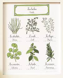 The Little Box On Top Is Really Eye Catching To Me I Also Like Her Style Of Drawing Herbs By Geraldine Adams Herbs 8x10 Art Prints Herb Art Botanical Prints