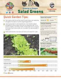 We did not find results for: Iceberg Lettuce Seed Packet Food Hero