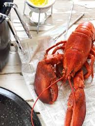 Check our summer dinner party menu with fresh maine clams, maine mussels and of course live maine lobster! 19 Lobster Dinner Party Ideas Lobster Dinner Lobster Paper Cocktail Napkins