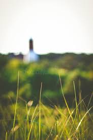 Tall Grass Strands Of Green And Yellow Tall Grass With A Cape Cod Lighthouse In Spon Green Yellow Strands Tal Tall Grass Cape Cod Lighthouses Grass