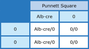 Have students change the genotypes of one the parent rabbits to all dominant genes (ssee) and construct and complete a new punnett square matrix. Breeding Mice To Create New Models How Do I Get There From Here
