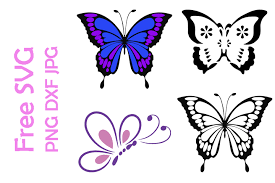 Svg hand painted color butterfly decorative pattern. Free Butterfly Svg Files