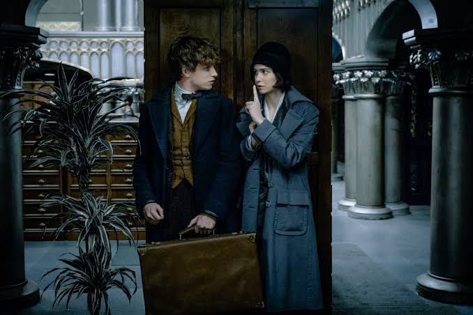 Fantastic Beasts and Where to Find Them' review: Some magical fun that also  falls flat | The Seattle Times