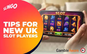 How to Play Slots: A Beginner's Guide | Slingo