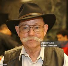 219 Pyrotechnician Stock Photos, High-Res Pictures, and Images