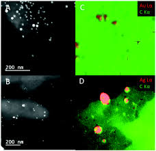 Immunostimulant And Biocompatible Gold And Silver Nanoparticles Synthesized Using The Ulva Intestinalis L Aqueous Extract Journal Of Materials Chemistry B Rsc Publishing Doi 10 1039 C9tb00215d