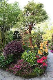 Acer Griseum Paperbark Maple And Friends In Spring Sloped Garden Beautiful Flowers Garden Beautiful Gardens