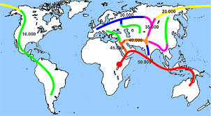 Ist der hirntod also wirklich die grenze zwischen leben und tod? Der Moderne Mensch Homo Sapiens Okosystem Erde