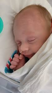 Preemie baby's weight gain progress