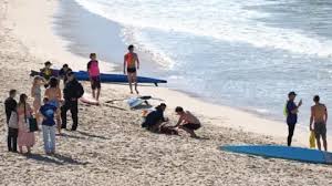 Woman seriously injured in shark attack at Sydney beach