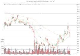 jnug chart dividend cake